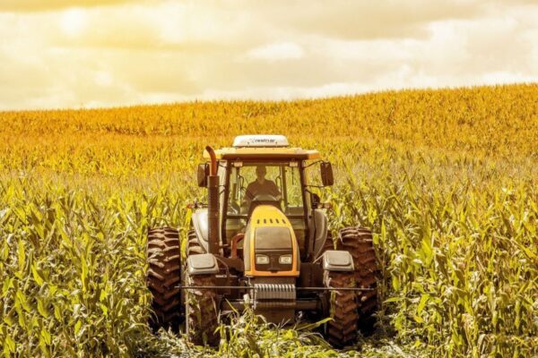 Climatizador Agrícola Resfriagro 24V
