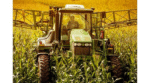 Climatizador Agrícola Resfriagro 24V