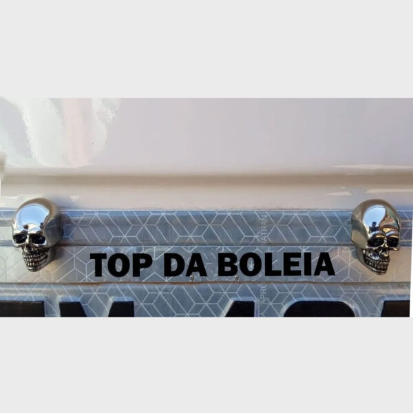Par De Parafuso Para Fixar Placa Caminhão Caveira Cromada