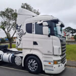 Par Aplique Coluna Porta Inox para Caminhão Scania S4 / S5 / S6