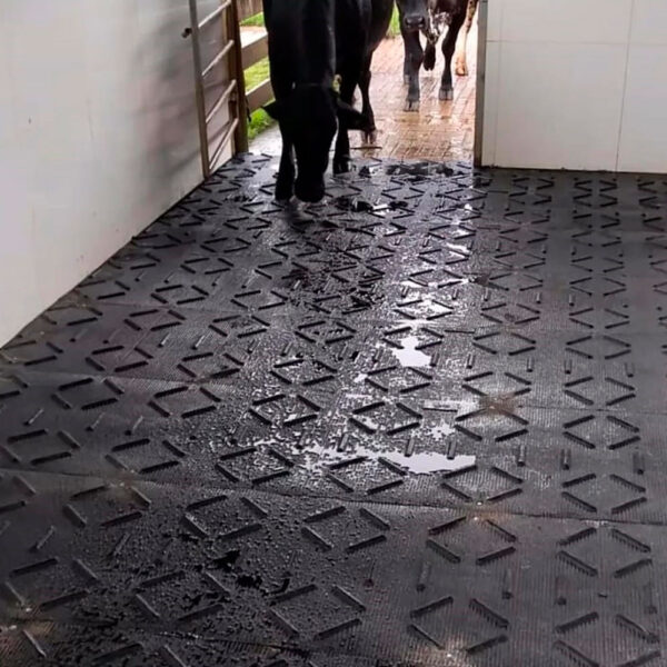 Piso Borracha Antiderrapante (Boiadeiro) para Caminhão Boiadeiro 2.84 x 83